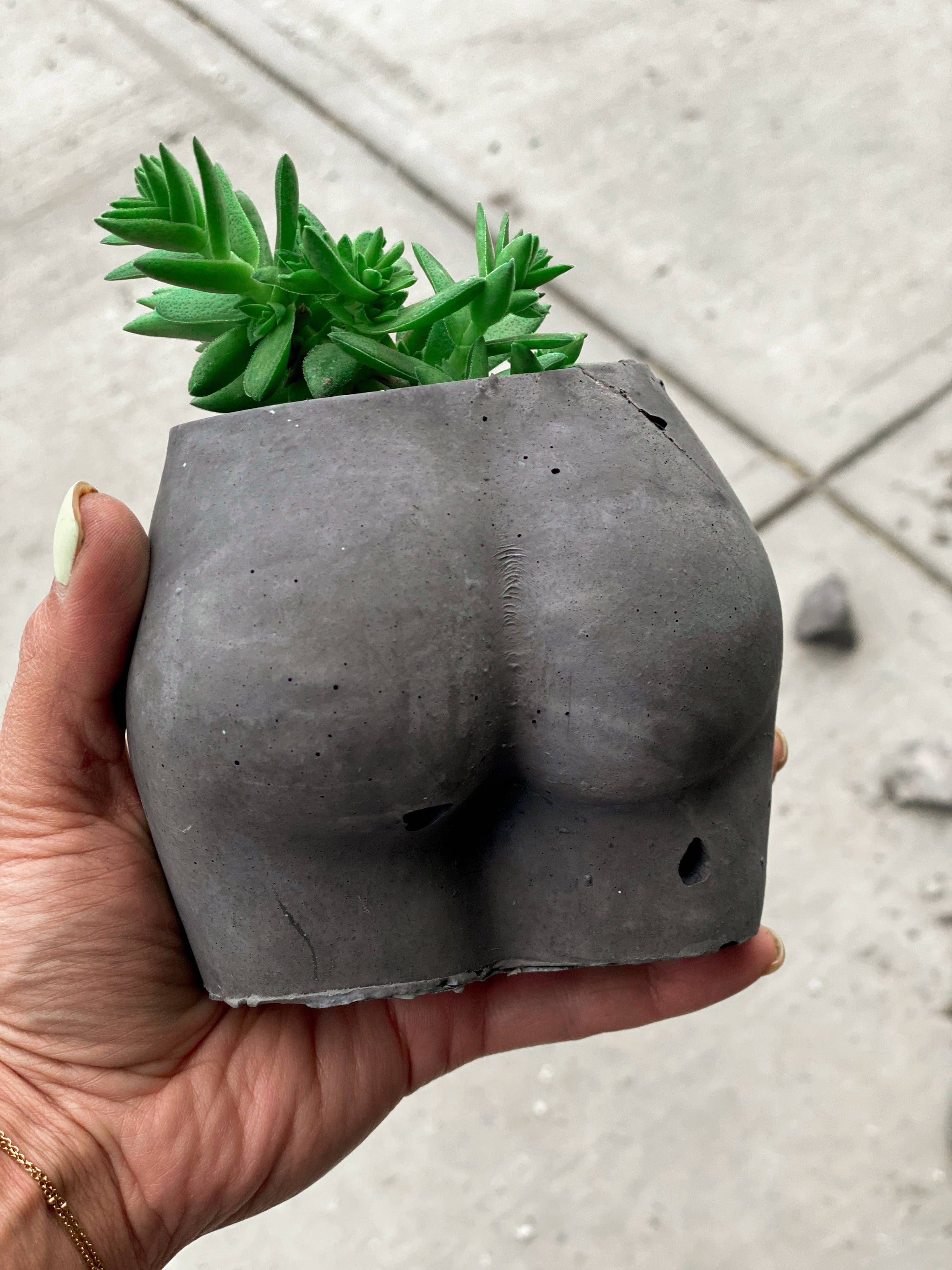 Little Butt Planter